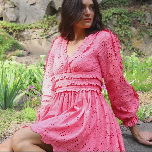 NWT Allison New York - Taylor Pink Eyelet Mini Dress Multiple Sizes Available - Picture 7 of 8